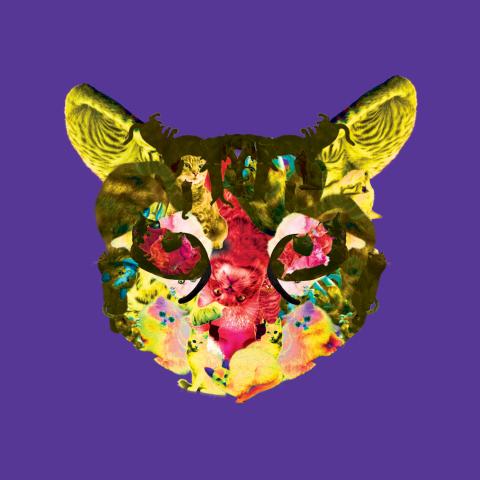 Sanctuary Cat Motif Sanctuary Cat Motif